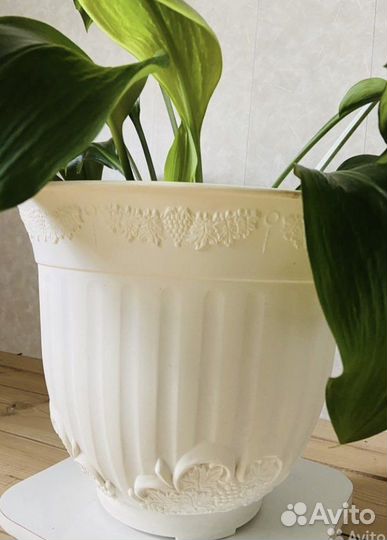 Горшок для цветов