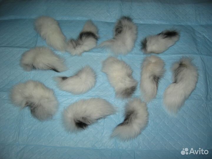 Символ 2023 года - Хвост зайца