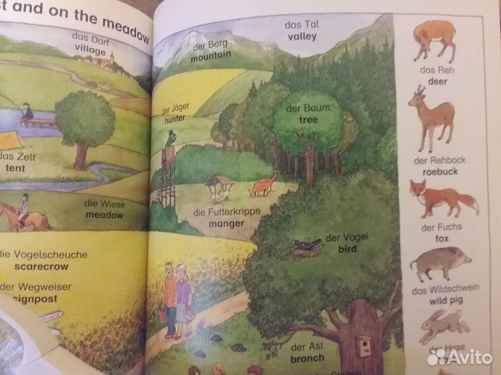 Книга Иллюстрированный словарь английского языка