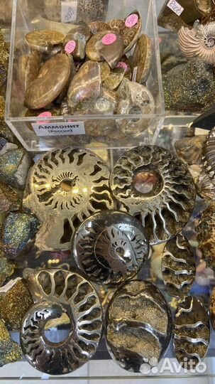 Аммонит спектропирит