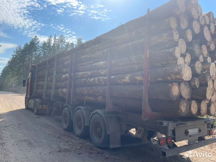 Пиловочник Круглый лес Доставка