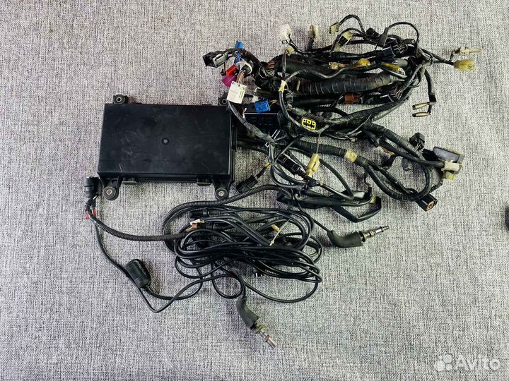 Yamaha Royal Star Venture Проводка в сборе