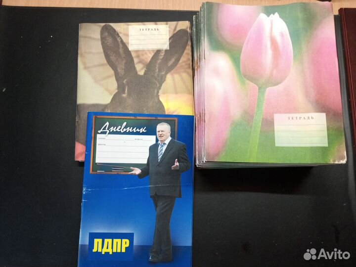 Тетрадь в клетку, дневник