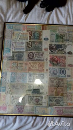 Коллекция