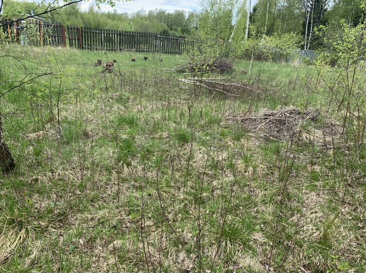 Участок 10 сот. (СНТ, ДНП)