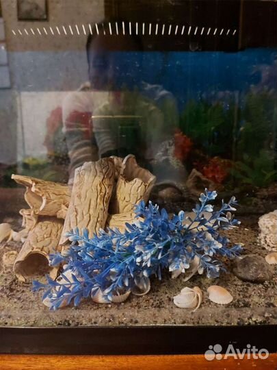 Аквариум aquael 60