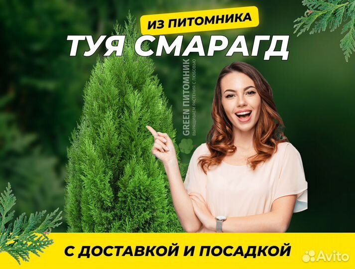 Смарагд,Брабант,Колумна