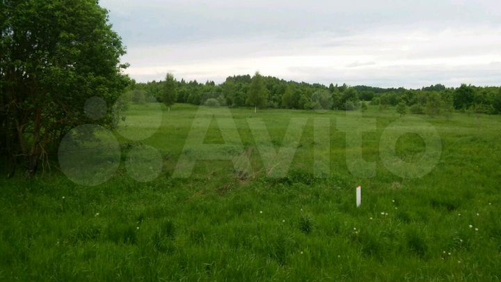 Участок 30 га (СНТ, ДНП)