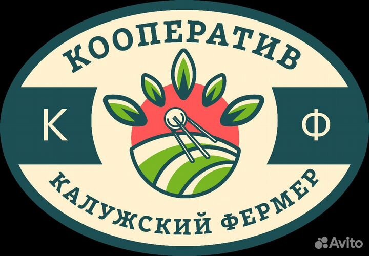 Грузчик разнорабочий ежедневная оплата