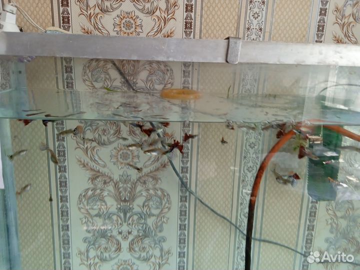 Аквариум с рыбками и столом