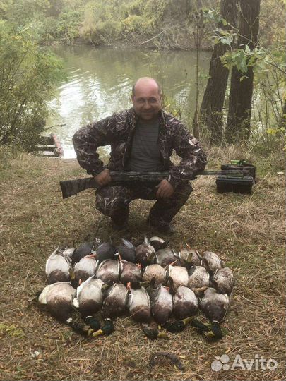 Организация охоты на водоплавающую дичь