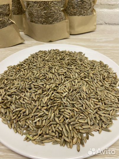 Сидераты рожь горчица