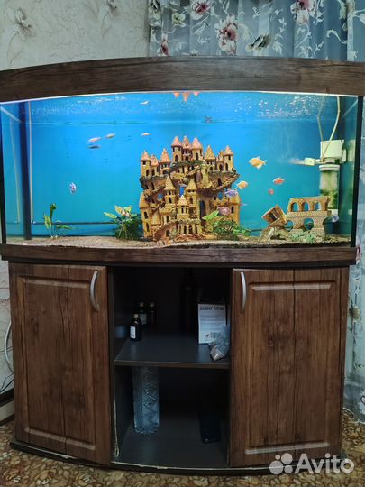 Аквариум с тумбой бу