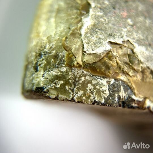 Аммонит окаменелость ископаемое палеонтология