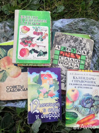 Книги для дачи