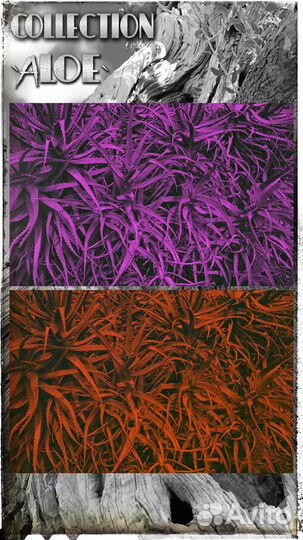 Графический дизайнер фотошоп