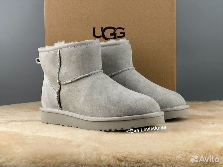 Угги женские Ugg Classic Mini II Grey-Violet