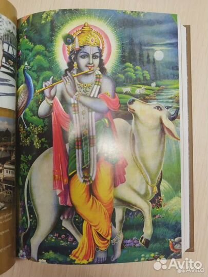 Книга Радханатха Свами 