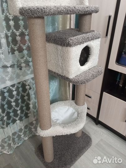 Кошачий комплекс, когтеточка