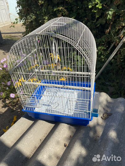 Клетка для попугая