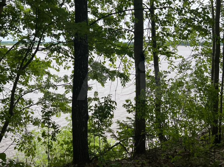 Участок 24,7 сот. (СНТ, ДНП)