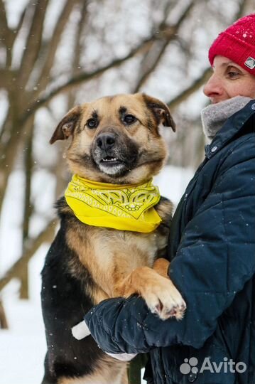 Малютка Никс не может без человека