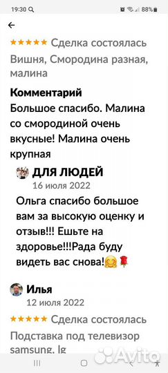 Малина разная саженцы