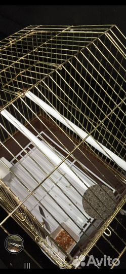 Клетка для попугая бу