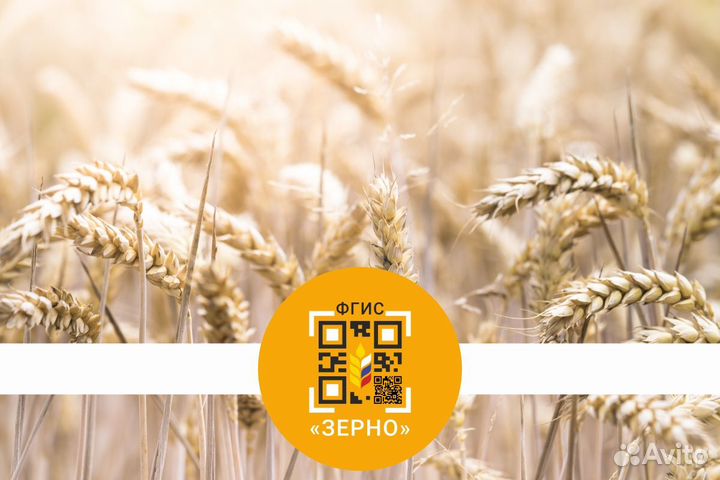 Декларирование, Фгис Зерно