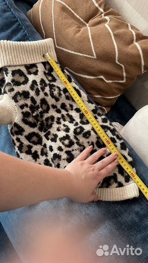 Одежда для собаки h&m