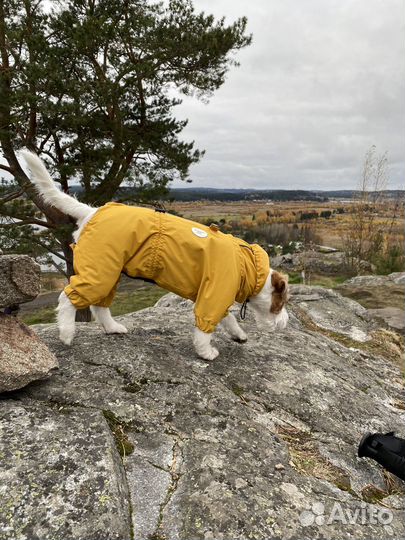 Дождевик для собак armoreddog