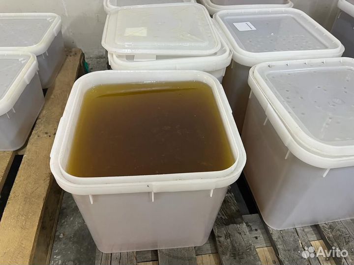 Эспарцетовый мёд оптом сбор 2023 года