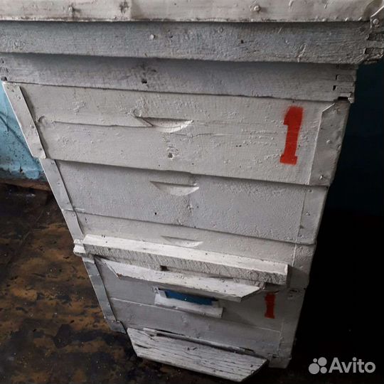 Улей для пчел