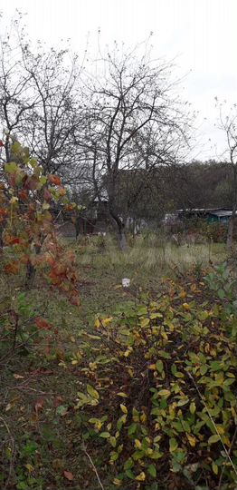 Участок 6 сот. (СНТ, ДНП)