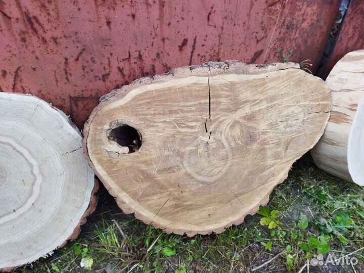 Спил Слэб Дуб Карагач