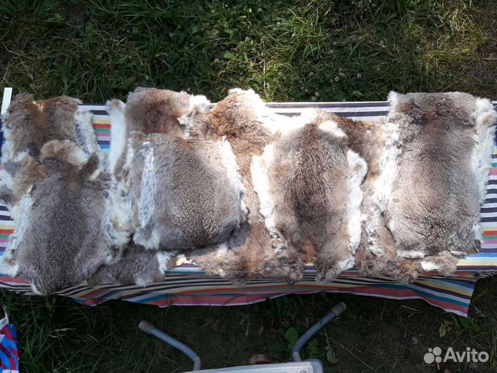 Пончо Benetton шарфы-сканди шкурки кролика 26шт