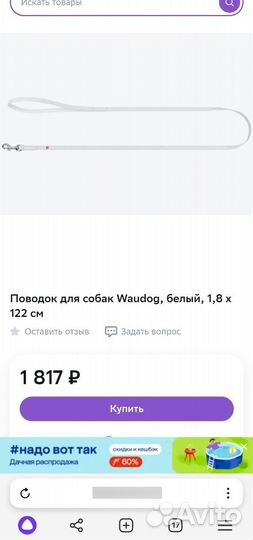 Амуниция для собак