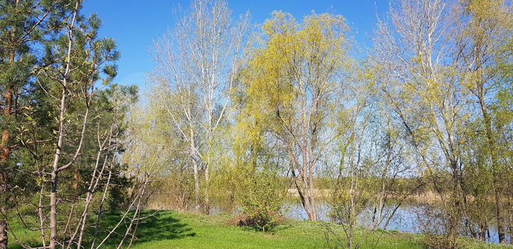 Участок 20 сот. (ИЖС)