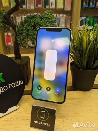 iPhone 12 Pro Max, 256 ГБ