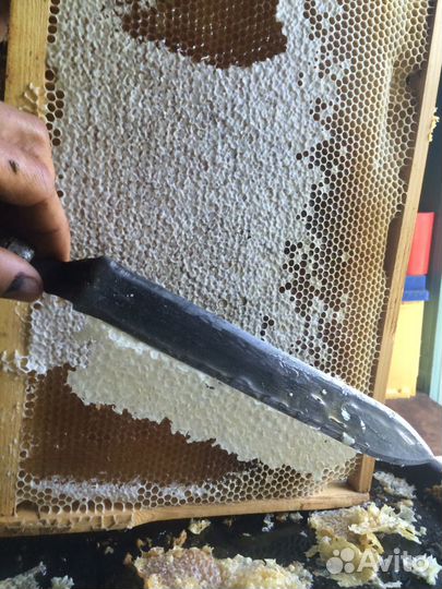 Крем мед, Мед в сотах и на разлив с моей пасеки и