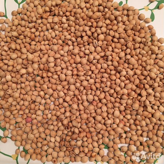 Вишневые косточки для детских грелок игрушек