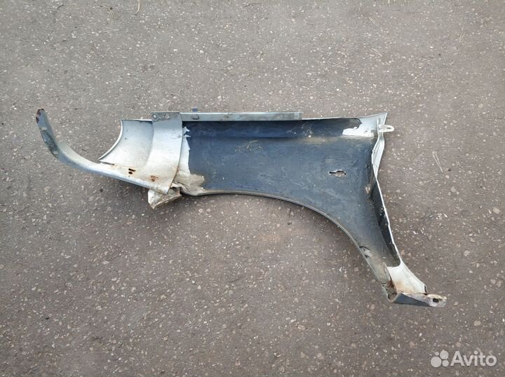 Передние крылья от 