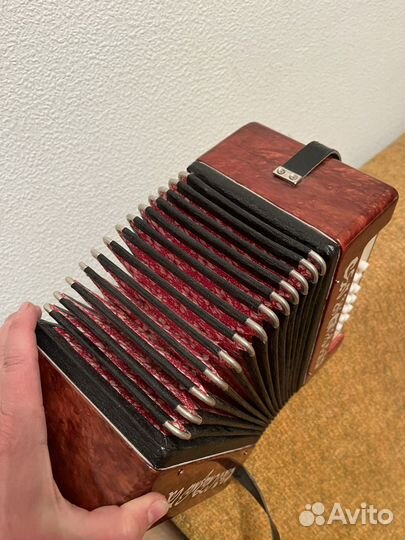 Гармонь тульская Сказка
