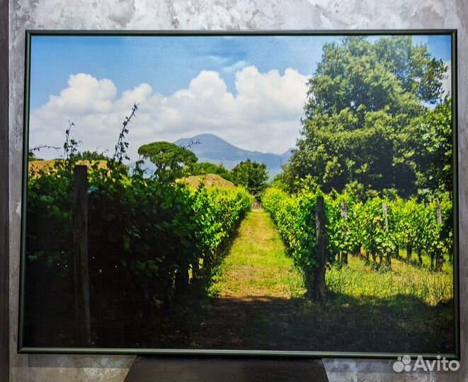 Фотокартины для интерьера р-р 60\45