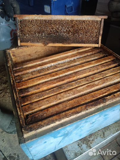 Продам двухкорпусные ульи 