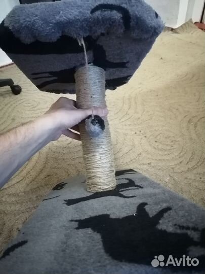 Когтеточка лежанка