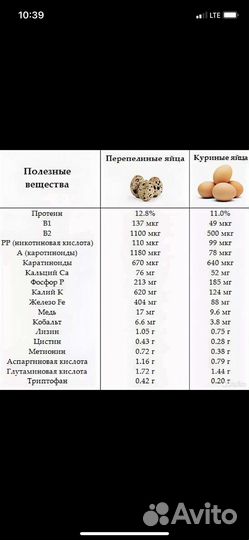 Яйца перепелиные домашние