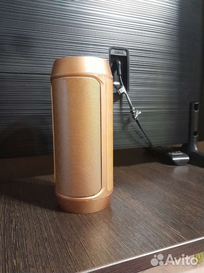 Колонка charge 2+