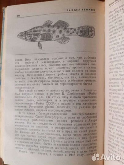 Справочник рыболова, 1989г