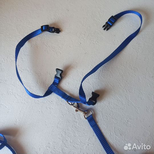 Шлейка с поводком для кошки поводок